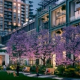 rendering of midtown park-street view 1030x385